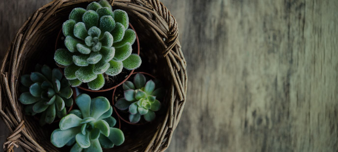 Love your home…and your rate